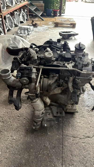1.0 T-gdi   Kia Rio motor